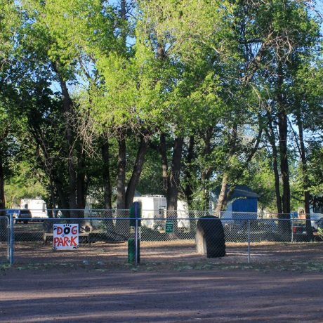 St Johns RV Resort - Large Dog Park