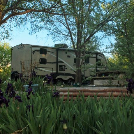 St Johns RV Resort - Nestled in Flowers and Trees