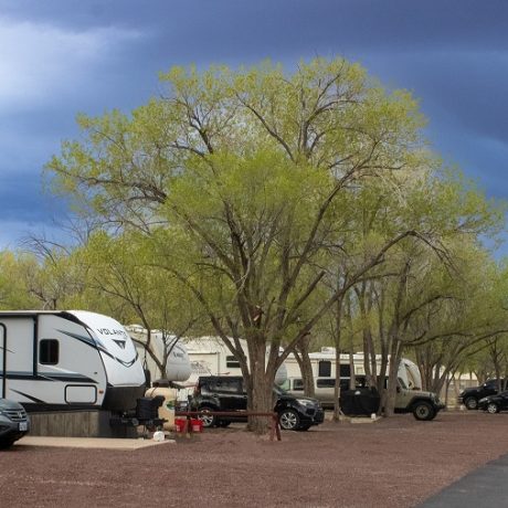 St Johns RV Resort - View of Row