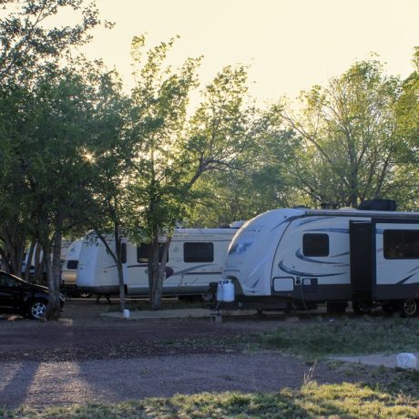 St Johns RV Resort - Great Shade Trees